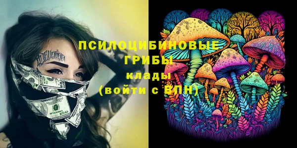 эйфоретик Аркадак