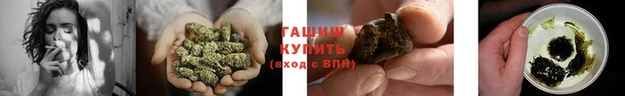 эйфоретик Аркадак