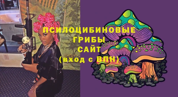 герыч Арсеньев