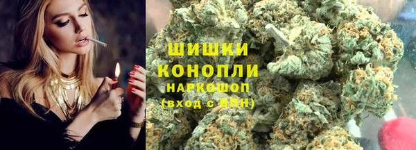 эйфоретик Аркадак