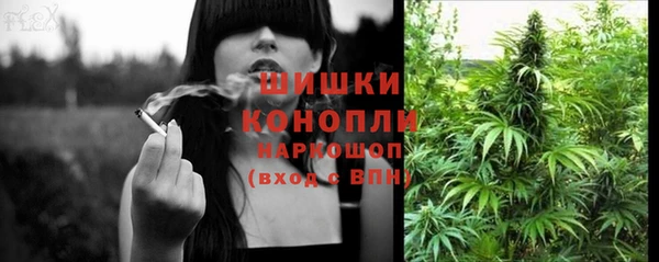 эйфоретик Аркадак